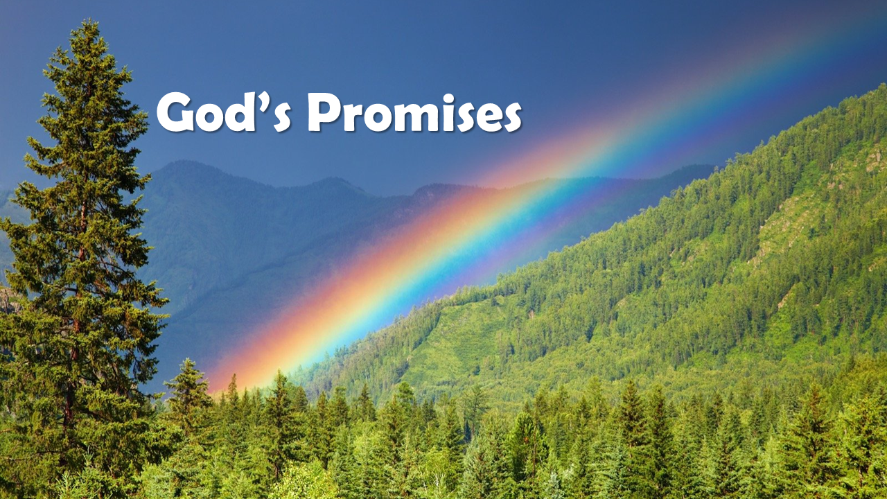 Promise - New Hope Assembly of God in NuMine, PA